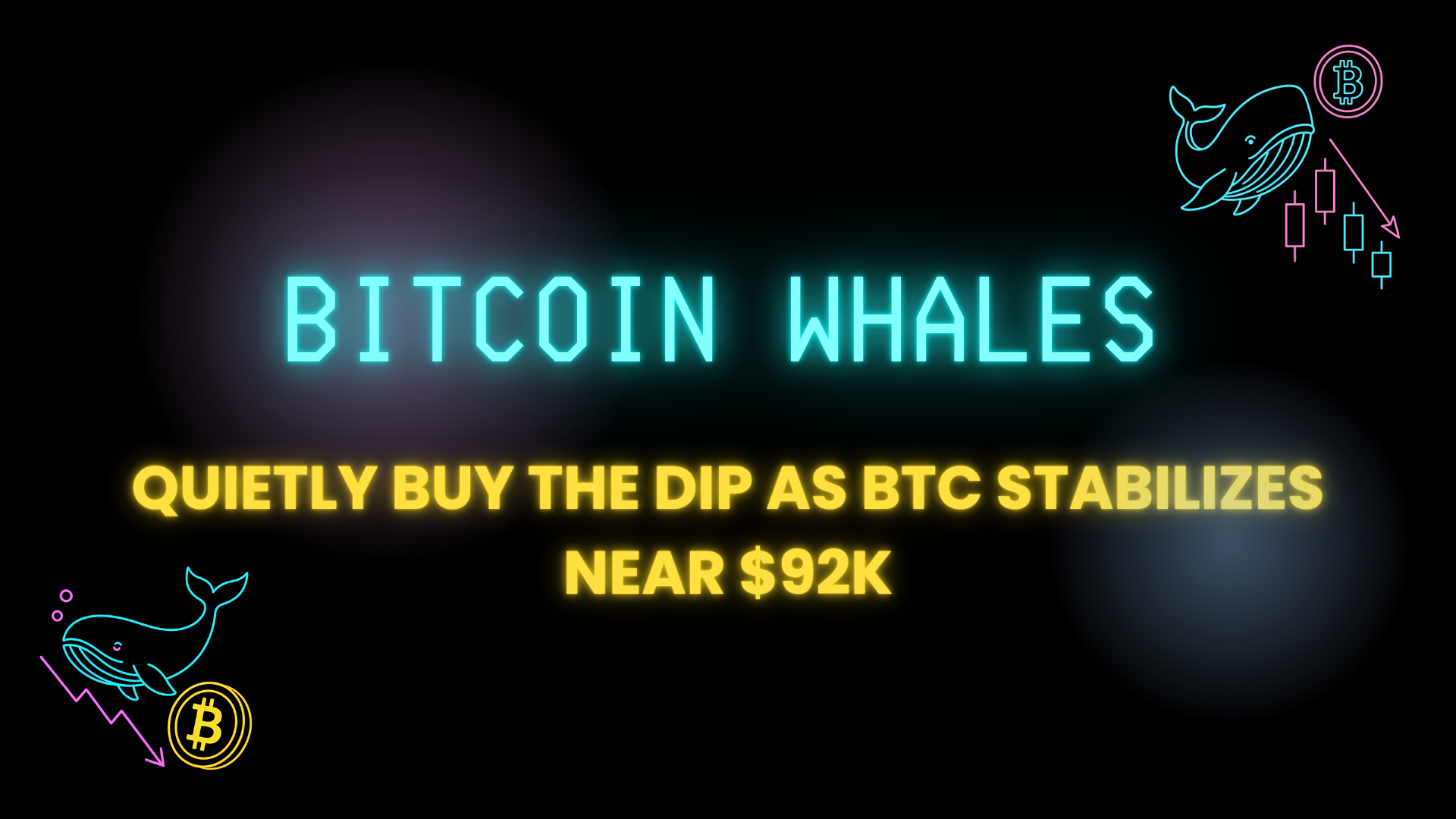 Bitcoin Whales Quietly Buy the Dip as BTC Stabilizes Near $92K