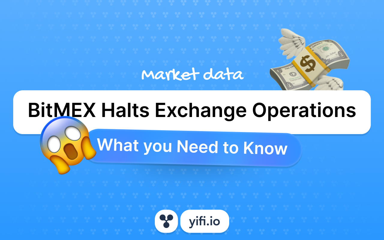 BitMEX Halts Exchange Operations: What Traders Need to Know